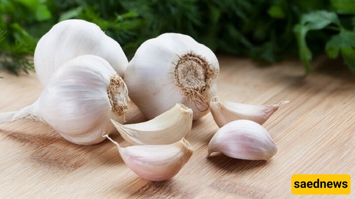 Garlic