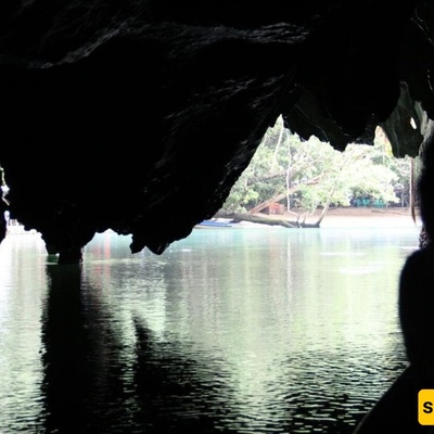 Rare ‘Unicorn’ Creature Discovered in an Underwater Cave in China + Photos