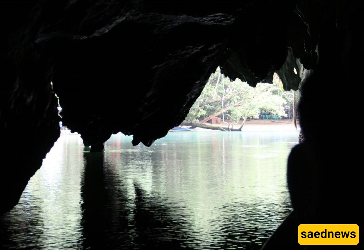 Rare ‘Unicorn’ Creature Discovered in an Underwater Cave in China + Photos