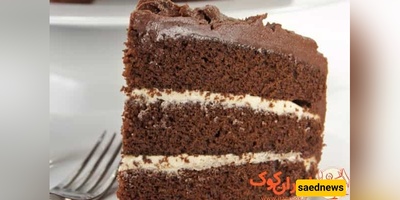 Special Chocolate Cake: Decadent Homemade Delight for Chocolate Lovers