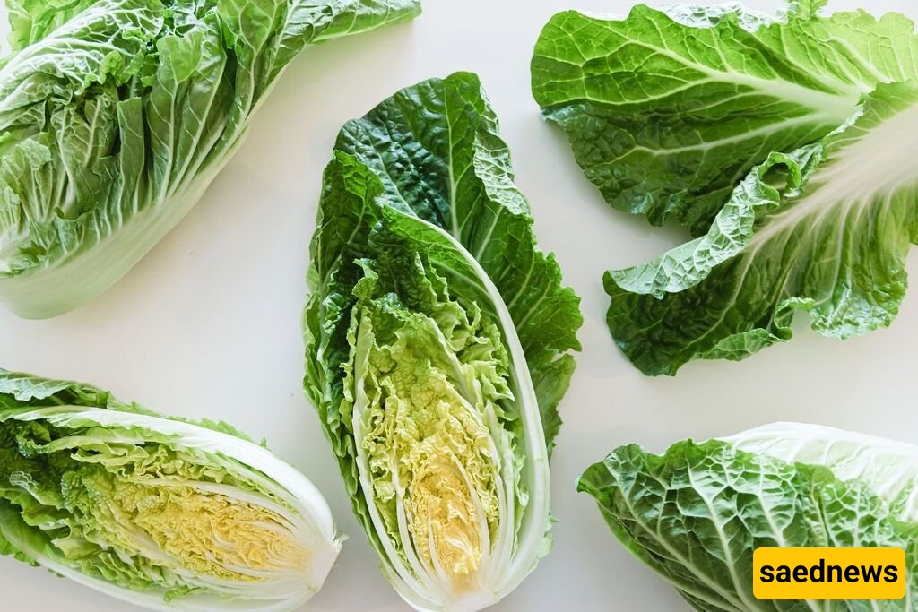 Everything You Need to Know About Napa Cabbage: A Crunchy, Flavorful Delight!