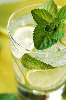 Sekanjabin Syrup: A Traditional Persian Drink for Hot Seasons