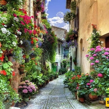 A Journey Through the World’s Most Beautiful Roads and Streets