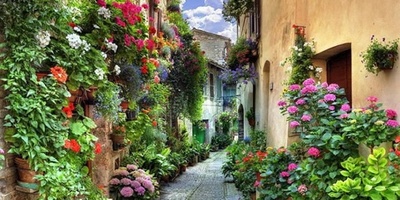 A Journey Through the World’s Most Beautiful Roads and Streets
