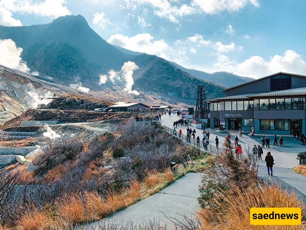 Attention Japan Travelers: Hakone Will Transform Your Travel Experience