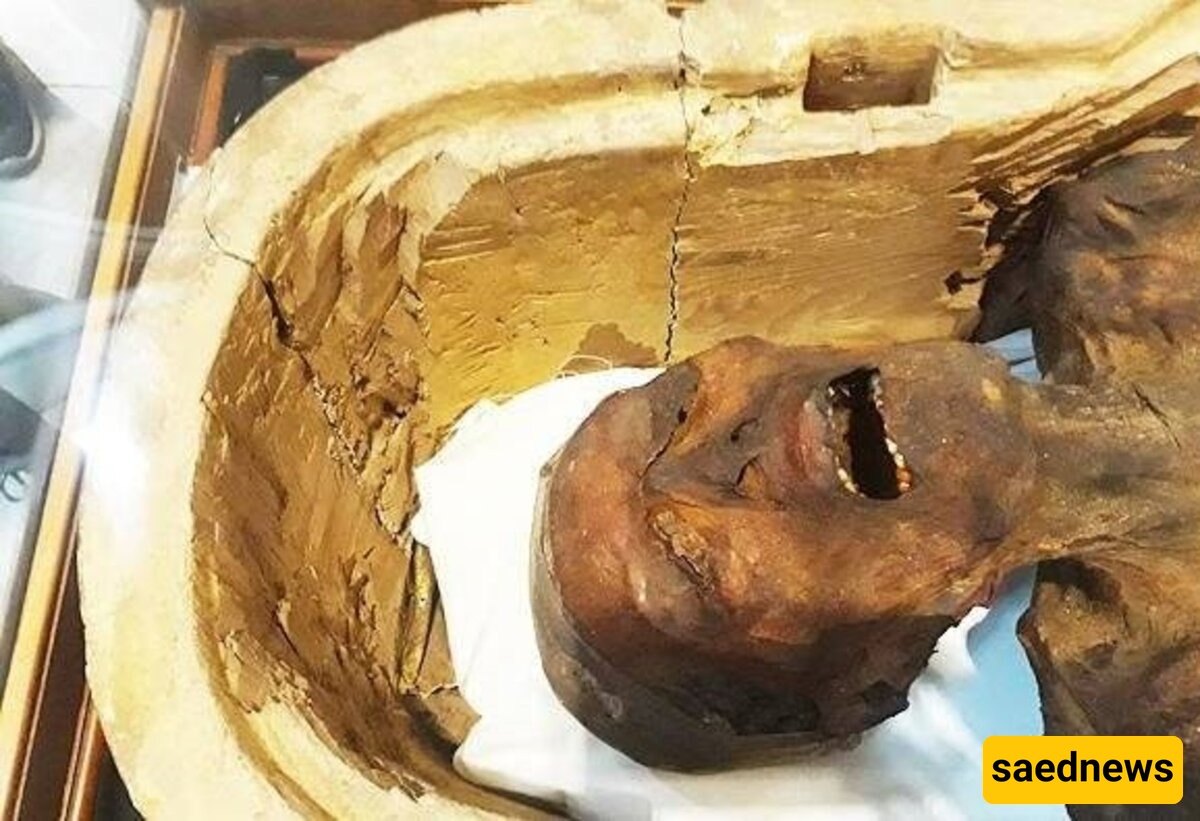 World’s Oldest Prosthetic Found on 3,000-Year-Old Mummy’s Foot — And It’s Even Stranger Than You Think!