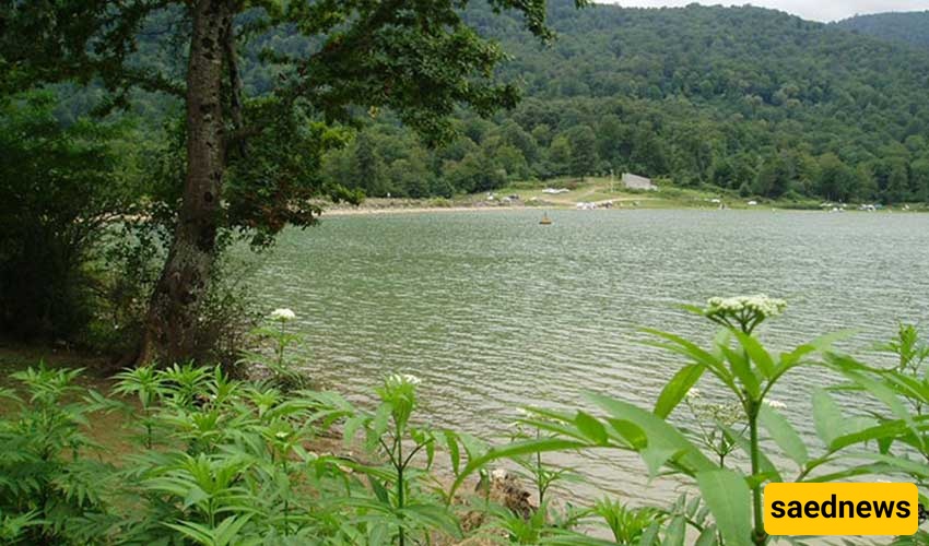 Si-Sangan Forest 