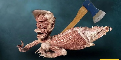 The Most Unusual Artifacts You Can See in European Museums / From Fake Creatures to a Museum of Feces + Images