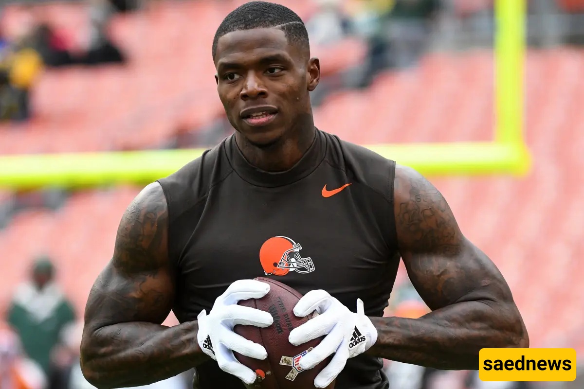 Criminal NFL players