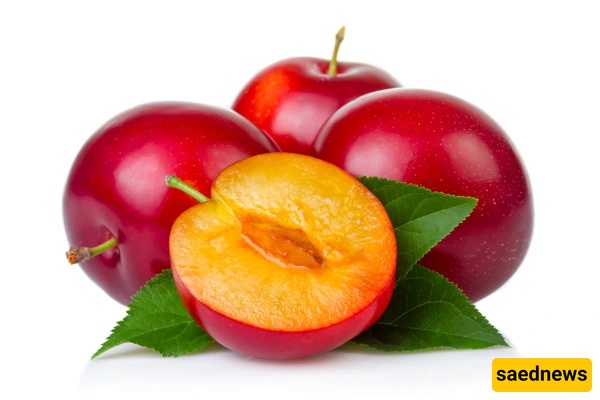 Plum seeds
