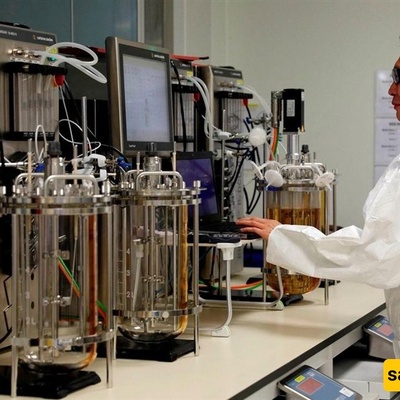 Singapore’s Pharma Industry at a Crossroads: New US Tariffs Pose $3.1 Billion Challenge