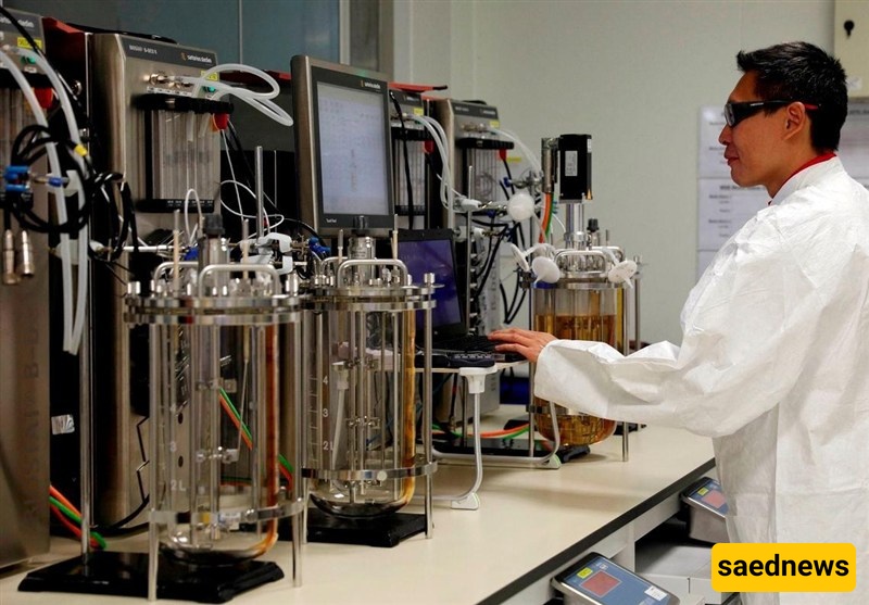 Singapore’s Pharma Industry at a Crossroads: New US Tariffs Pose $3.1 Billion Challenge