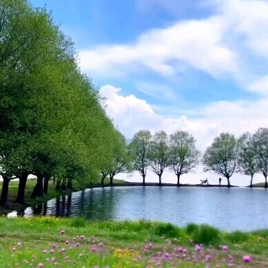 This is The Paradise, Right Here At The Qarqachal Water Reservoir in Sari 😍