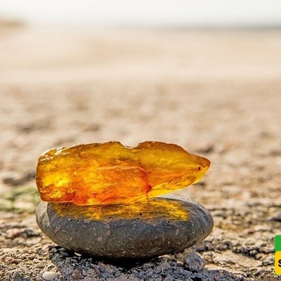 Jaw-Dropping Price for a Doorstop Stone! This Sticky Tree Amber Material Is Worth $1.1 Million