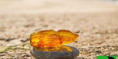 Jaw-Dropping Price for a Doorstop Stone! This Sticky Tree Amber Material Is Worth $1.1 Million