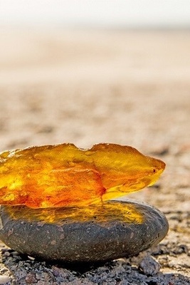 Jaw-Dropping Price for a Doorstop Stone! This Sticky Tree Amber Material Is Worth $1.1 Million