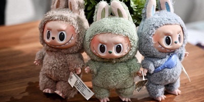 A Strange Criticism of Laboubo by a News Agency—Trying to Take Hossein Fahmideh’s Place?