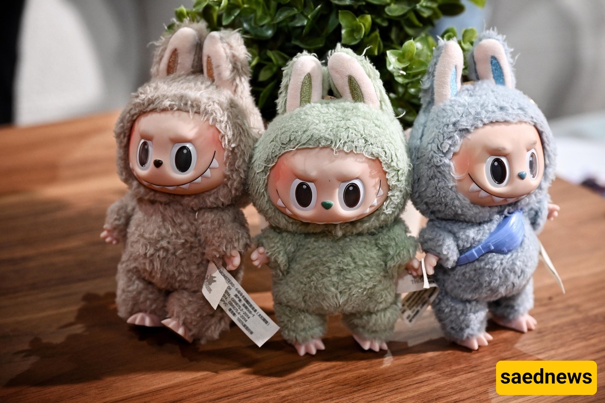 A Strange Criticism of Laboubo by a News Agency—Trying to Take Hossein Fahmideh’s Place?