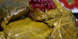 Grape Leaf Dolma | How to Make Delicious Grape Leaf Dolma + Essential Tips