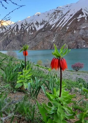Gahar Lake