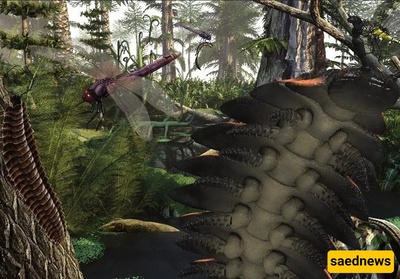 Fossilized Amber Reveals Tiny Insects Frozen Since the Age of Dinosaurs