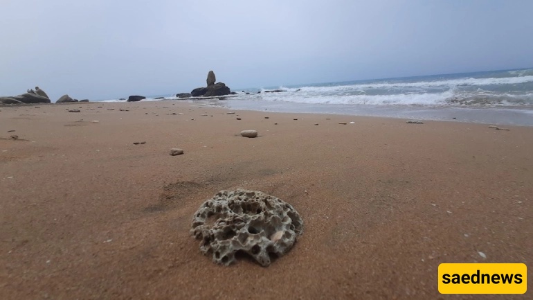 Mokasar Beach