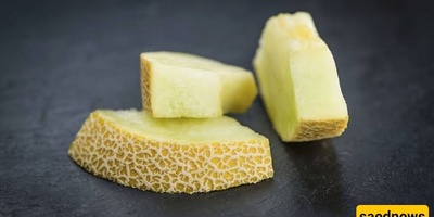 Why Does Melon Become Bitter?
