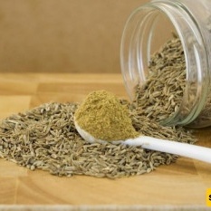 Are Cumin and Fennel the Same, or Are They Different?