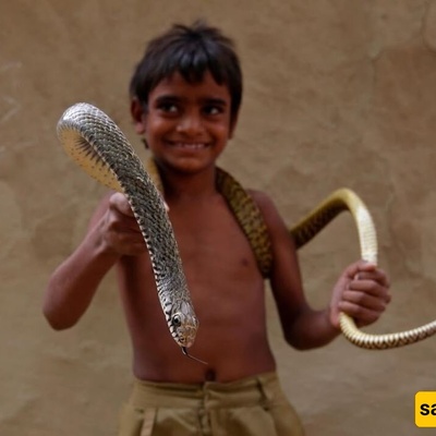 The Astonishing Life and Friendship of a Snake Inside the Head of a 10-Year-Old Boy + Photo