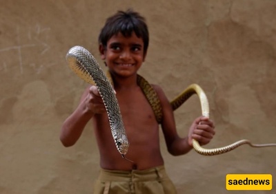 The Astonishing Life and Friendship of a Snake Inside the Head of a 10-Year-Old Boy + Photo