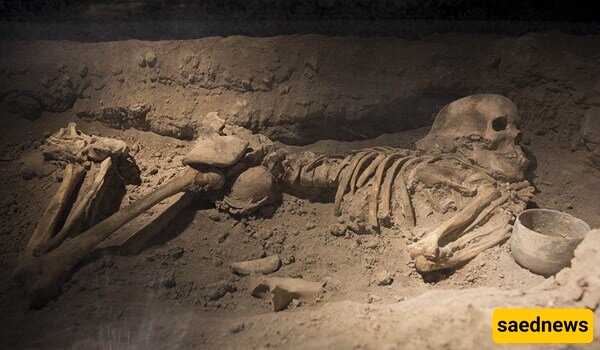 3100-Year-Old Skeleton of a 13-Year-Old Girl Discovered in Qazvin – Experts Astonished It Remained Intact!