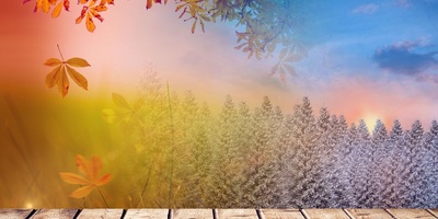 Why A Change Of Season Is A Good Time To Change Some Habits