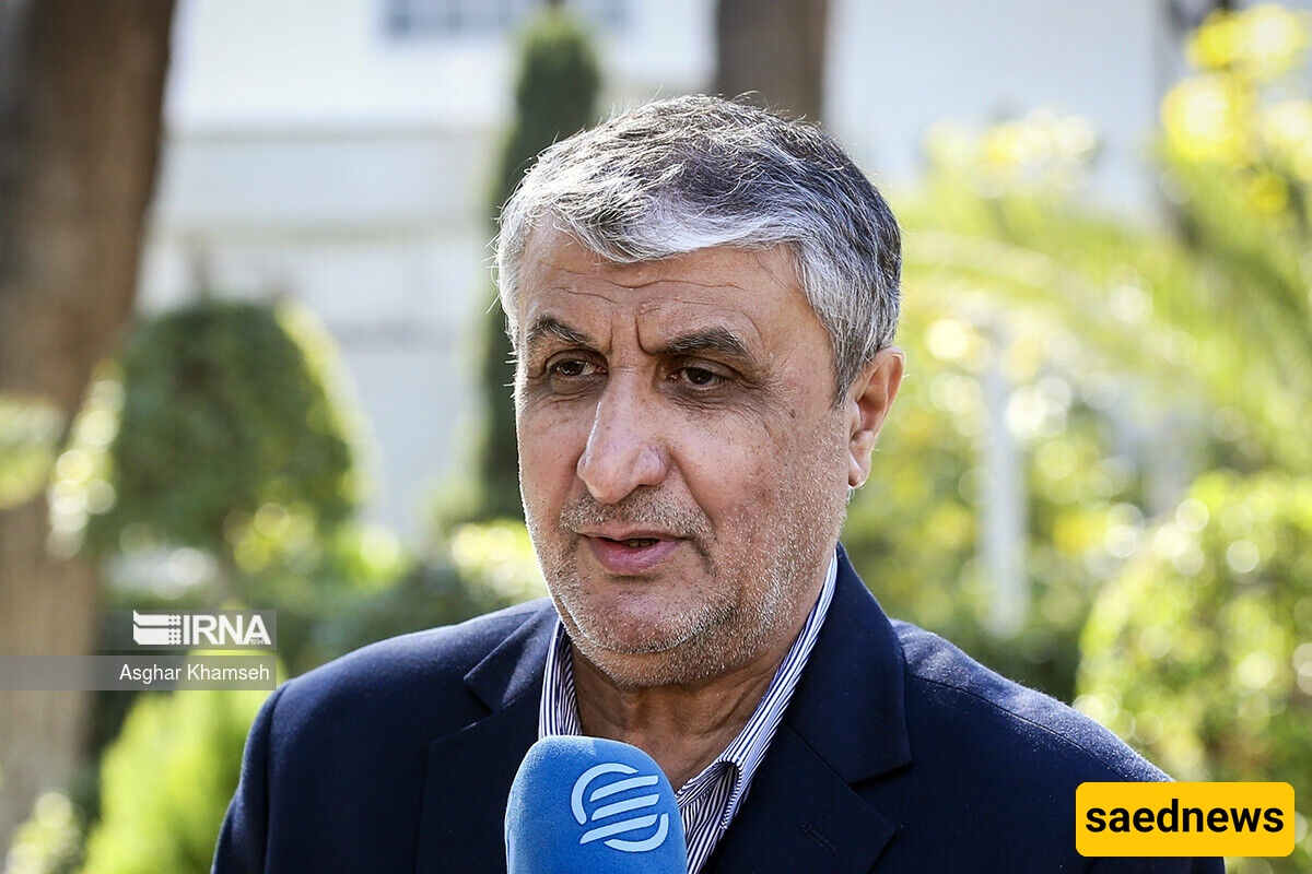 Eslami: Grossi’s Destructive Role in Creating the Current Situation Has Been Recorded in History.