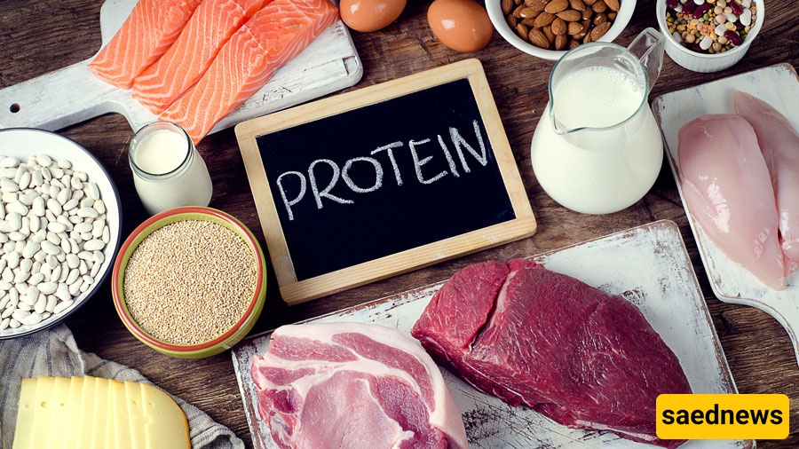 Protein