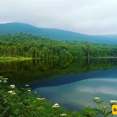 Sarandoon-Balandoon Wetland Complex – A Natural Treasure in Sari, Iran