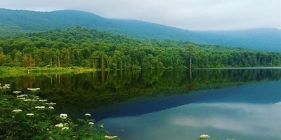 Sarandoon-Balandoon Wetland Complex – A Natural Treasure in Sari, Iran