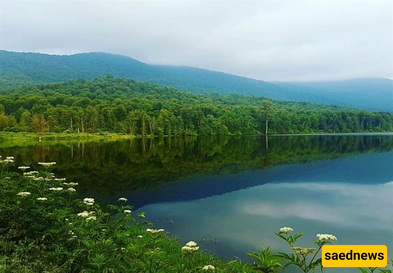 Sarandoon-Balandoon Wetland Complex – A Natural Treasure in Sari, Iran