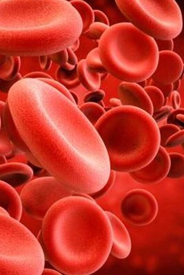 Scientists Convert Blood into Bone Repair Materials