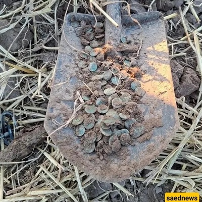 A Golden Dream Beneath the Soil: Farmer Discovers 2,100-Year-Old Treasure with a Shovel