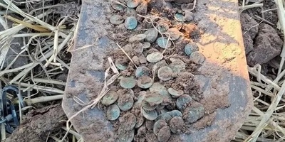 A Golden Dream Beneath the Soil: Farmer Discovers 2,100-Year-Old Treasure with a Shovel
