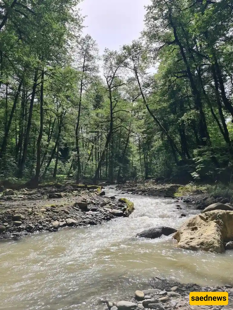 Eskelim Waterfall