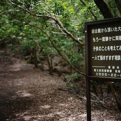 Aokigahara Forest / Secrets and Tragedy of Japan’s “Suicide Forest”