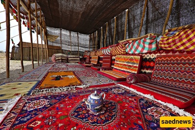 Vivid Colors of Qashqai Carpets Enliven Black Tents