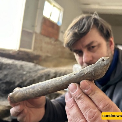 Images: A Thousand-Year-Old Bone Skate Is Discovered