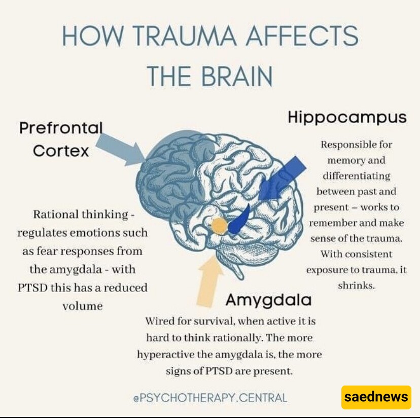 how trauma affects us