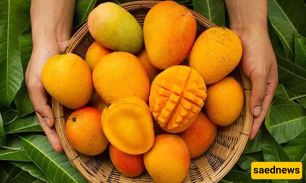 Mango 