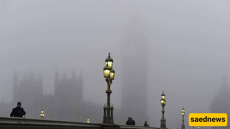 Fog