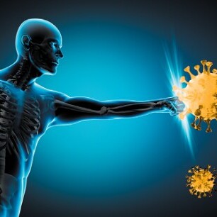 What should we do to avoid autoimmune diseases?