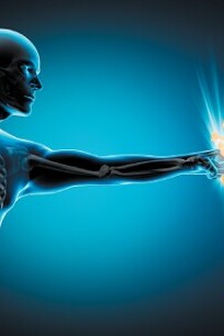 What should we do to avoid autoimmune diseases?