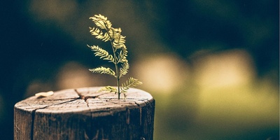 Why Starting Something New Feels So Difficult for Most People